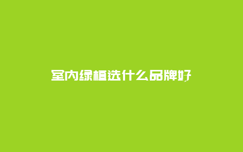 室内绿植选什么品牌好