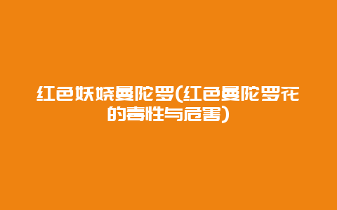 红色妖娆曼陀罗(红色曼陀罗花的毒性与危害)