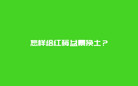 怎样给红梅盆景换土？