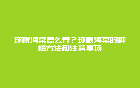 球根海棠怎么养？球根海棠的种植方法和注意事项