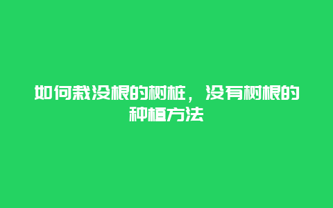 如何栽没根的树桩，没有树根的种植方法