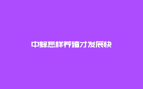 中蜂怎样养殖才发展快