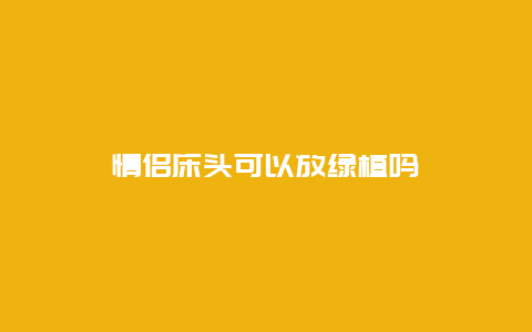 情侣床头可以放绿植吗