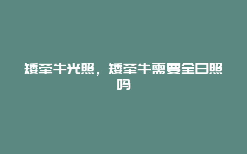 矮牵牛光照，矮牵牛需要全日照吗