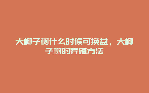 大椰子树什么时候可换盆，大椰子树的养殖方法