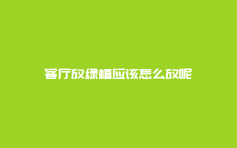 客厅放绿植应该怎么放呢