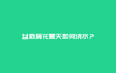 盆栽梅花夏天如何浇水？