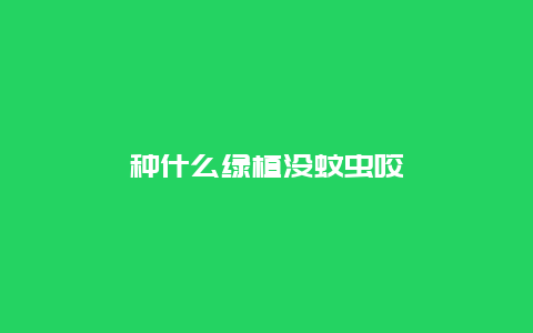 种什么绿植没蚊虫咬