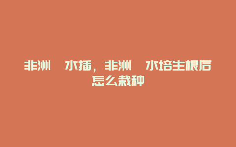 非洲堇水插，非洲堇水培生根后怎么栽种