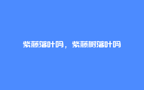 紫藤落叶吗，紫藤树落叶吗