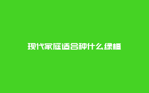 现代家庭适合种什么绿植