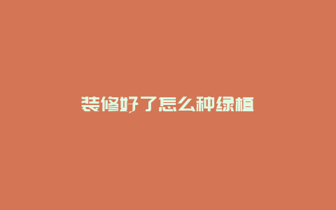 装修好了怎么种绿植