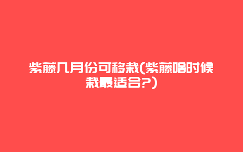 紫藤几月份可移栽(紫藤啥时候栽最适合?)