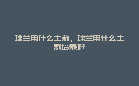 球兰用什么土栽，球兰用什么土栽培最好