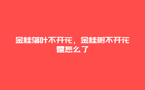 金桂落叶不开花，金桂树不开花是怎么了