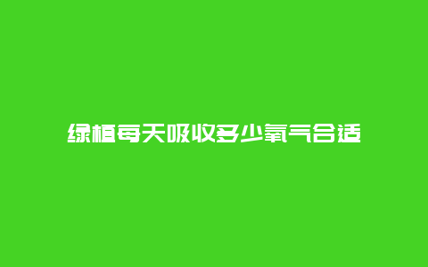 绿植每天吸收多少氧气合适