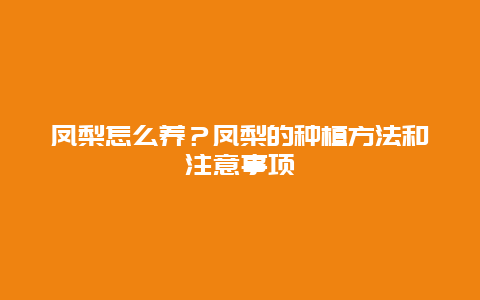 凤梨怎么养？凤梨的种植方法和注意事项