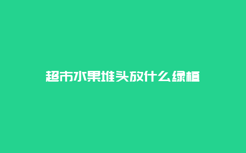 超市水果堆头放什么绿植