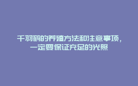 千羽鹤的养殖方法和注意事项，一定要保证充足的光照