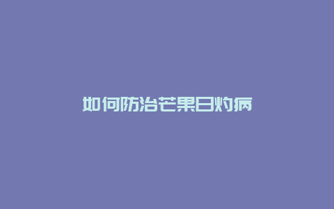 如何防治芒果日灼病