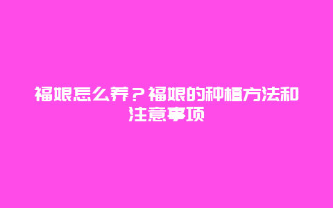 福娘怎么养？福娘的种植方法和注意事项