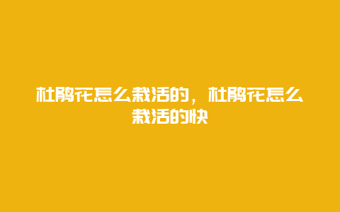 杜鹃花怎么栽活的，杜鹃花怎么栽活的快