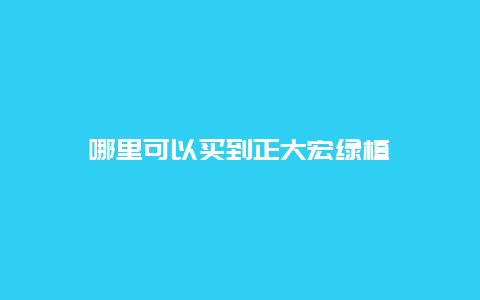 哪里可以买到正大宏绿植