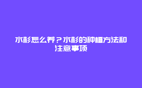 水杉怎么养？水杉的种植方法和注意事项