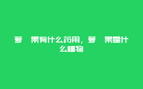 萝藦果有什么药用，萝藦果是什么植物