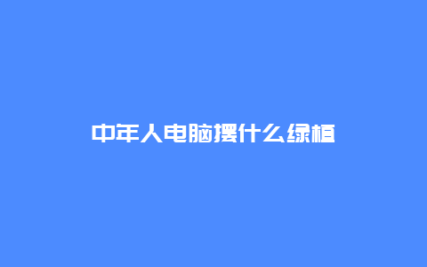 中年人电脑摆什么绿植