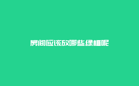 房间应该放哪些绿植呢