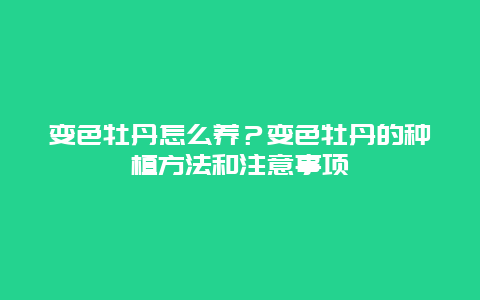 变色牡丹怎么养？变色牡丹的种植方法和注意事项