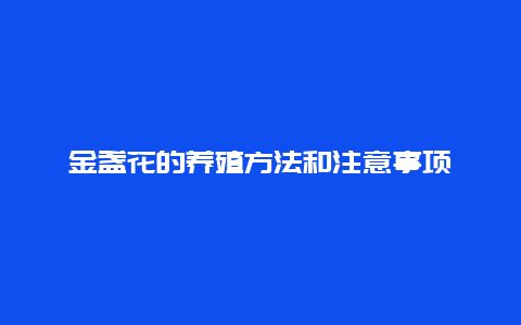 金盏花的养殖方法和注意事项