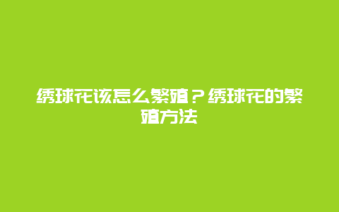 绣球花该怎么繁殖？绣球花的繁殖方法