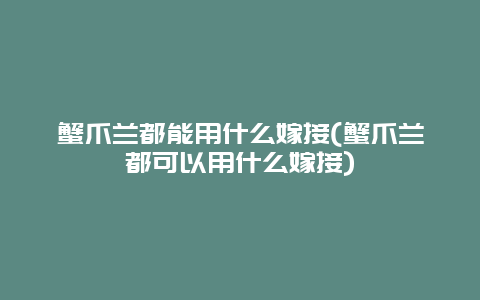 蟹爪兰都能用什么嫁接(蟹爪兰都可以用什么嫁接)