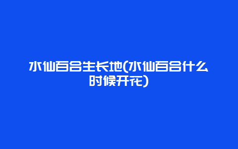 水仙百合生长地(水仙百合什么时候开花)