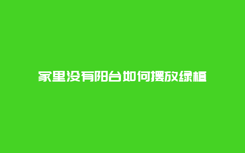 家里没有阳台如何摆放绿植