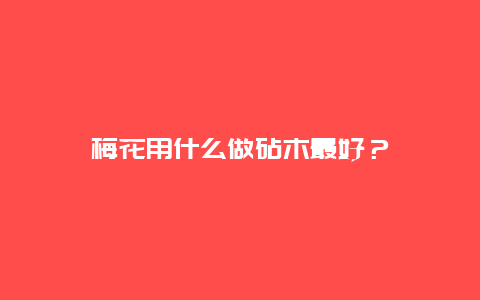 梅花用什么做砧木最好？