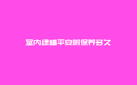 室内绿植平安树保养多久