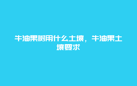 牛油果树用什么土壤，牛油果土壤要求