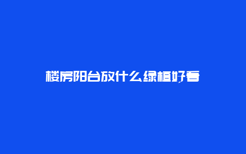 楼房阳台放什么绿植好看