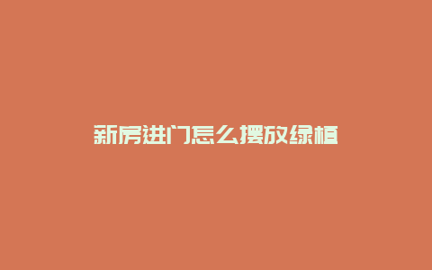 新房进门怎么摆放绿植