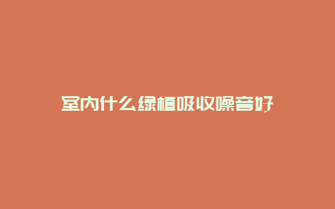 室内什么绿植吸收噪音好