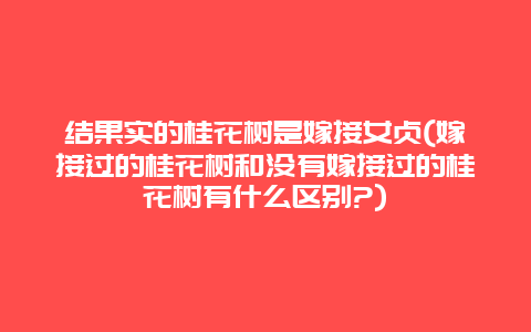 结果实的桂花树是嫁接女贞(嫁接过的桂花树和没有嫁接过的桂花树有什么区别?)