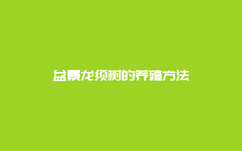 盆景龙须树的养殖方法