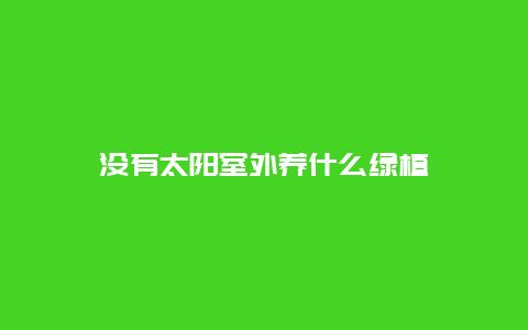 没有太阳室外养什么绿植