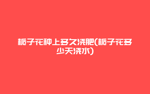 栀子花种上多久浇肥(栀子花多少天浇水)