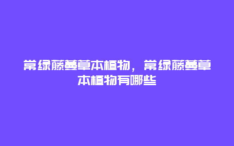 常绿藤蔓草本植物，常绿藤蔓草本植物有哪些