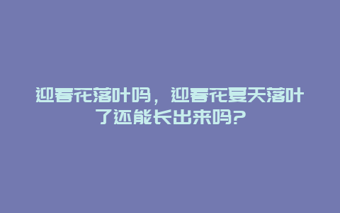 迎春花落叶吗，迎春花夏天落叶了还能长出来吗?