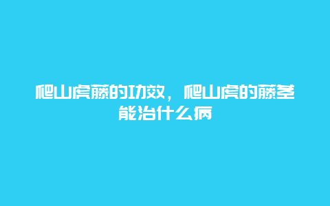 爬山虎藤的功效，爬山虎的藤茎能治什么病